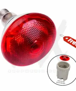 Infrared Bulb with Free Bulb Holder