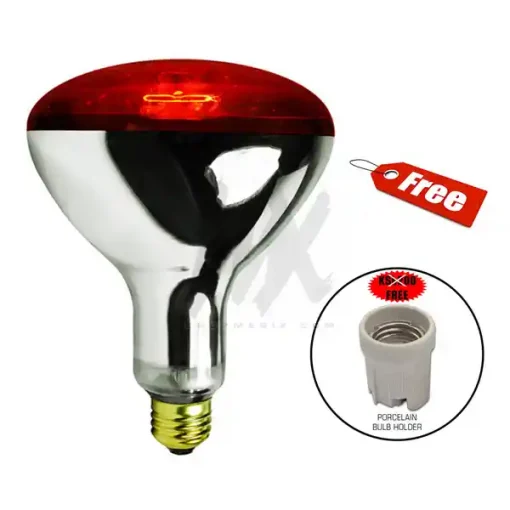 Infrared Bulb with Free Bulb Holder