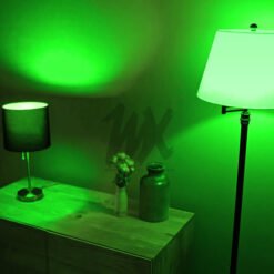 GREEN LED Light Bulb GREEN LED Light Bulb