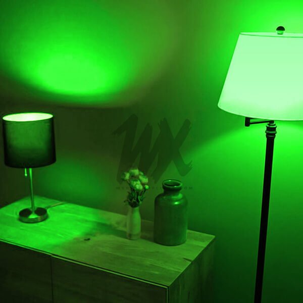 GREEN LED Light Bulb GREEN LED Light Bulb
