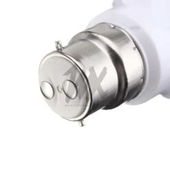 5 Watts LED Light Bulb (Pack of 2) gls_led_bulb_white_2